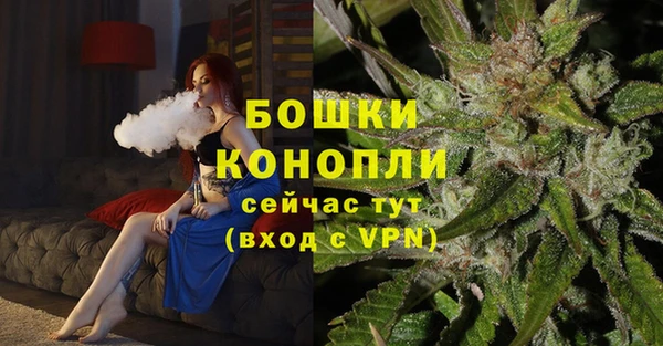 шишки Лиски