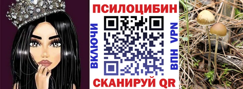 Псилоцибиновые грибы Psilocybine cubensis  блэк спрут как войти  Минеральные Воды  наркотики 
