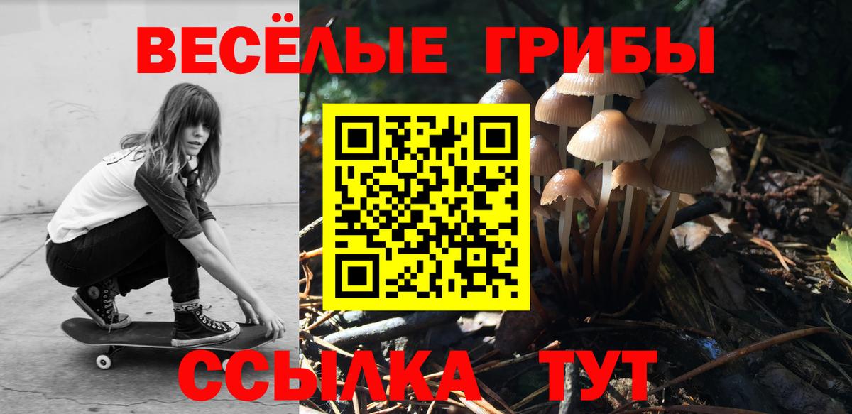 Минеральные Воды  Галлюциногенные грибы Psilocybe  Вход с VPN  Галлюциногенные грибы прущие грибы 