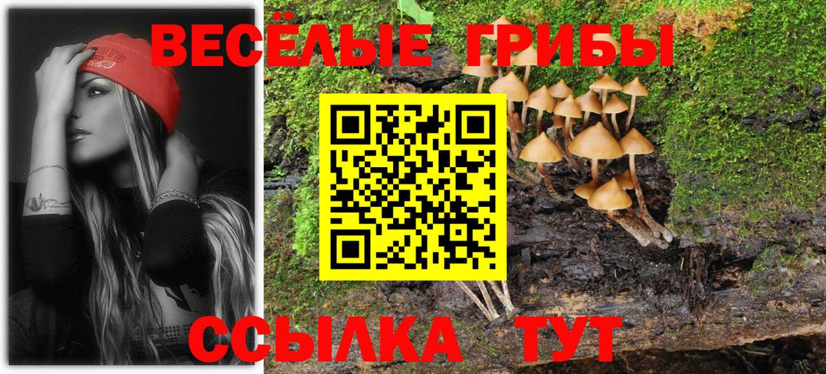 Галлюциногенные грибы прущие грибы Минеральные Воды